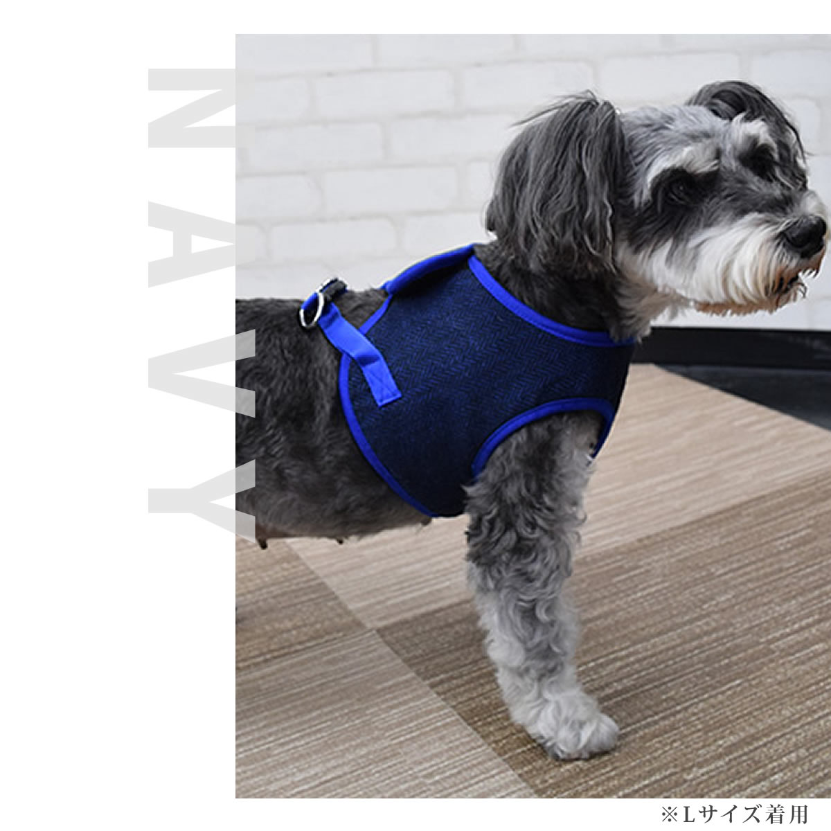 ASHUϡͥ ⡼ XL(淿)ڥ꡼ɤ