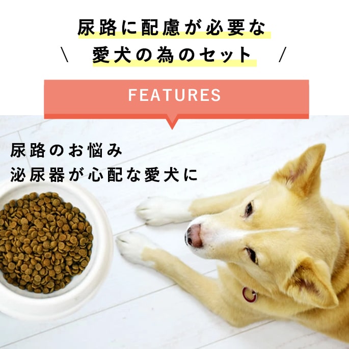 ʥϡ٥ˡNHեå1.1kg1&Ǣϩ90g ѡ