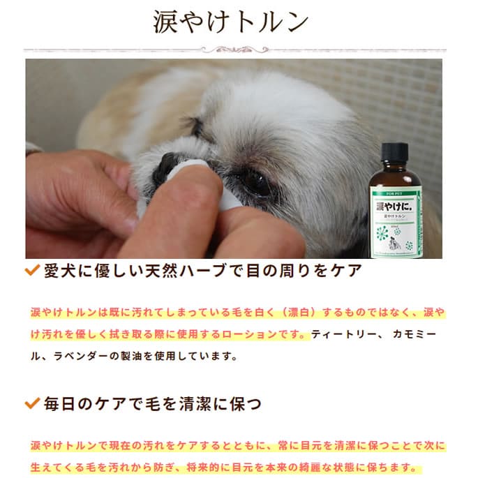 �����ѡ��ޤ䤱�ȥ��&�ա��ɥ��å�/�ե��å���(ŷ���ܤε�)