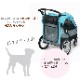 �ڥåȥ����ȡ��緿 ���إХ���SILVERWING(�ե��󥿥���)��55kg�ޤǡ��������緿���ѡ������󤻸�ȯ�������Ϥ��ޤ���1��������