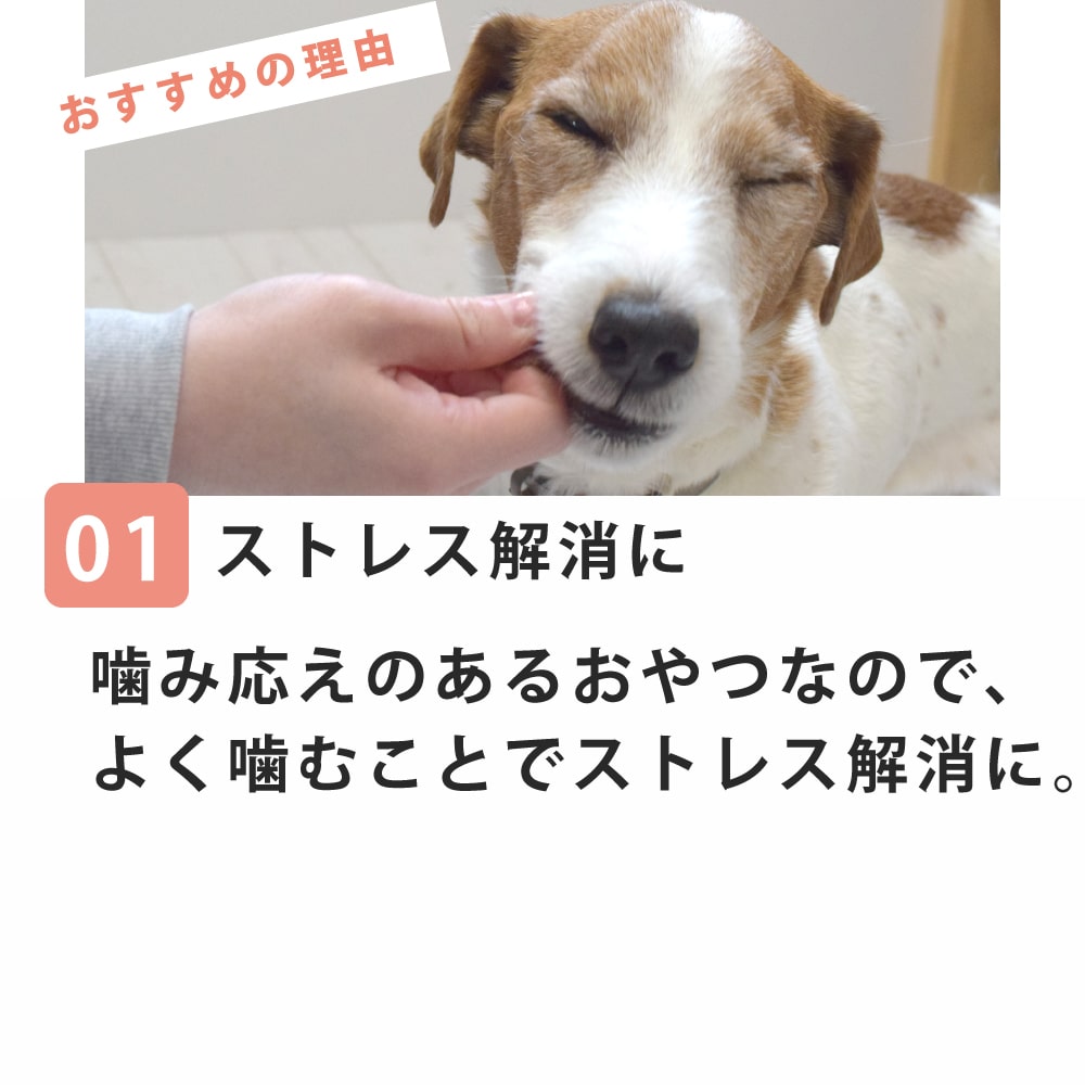 ѤġΤ 30g̵źå㡼