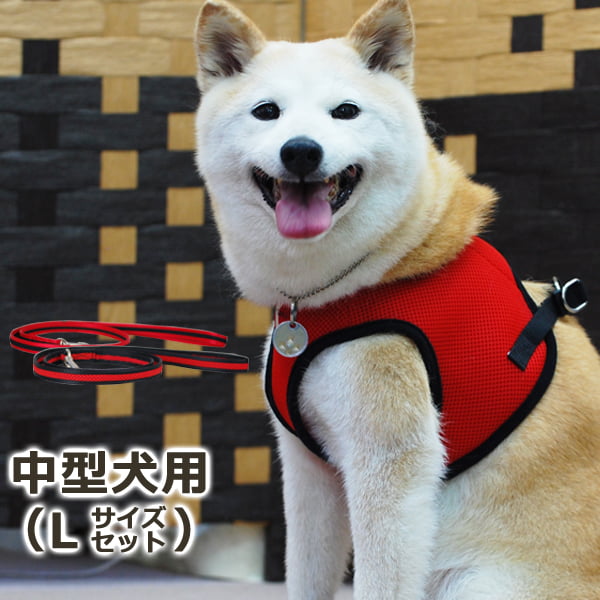 ѥϡͥ꡼ɥåȡASHUϡͥ å꡼ɥåȡL 淿