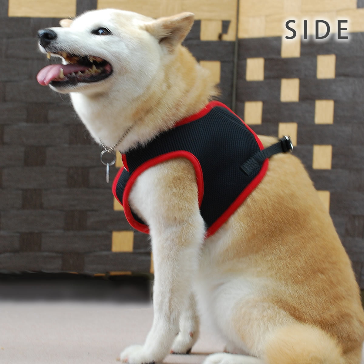 ѥϡͥ꡼ɥåȡASHUϡͥ å꡼ɥåȡL 淿