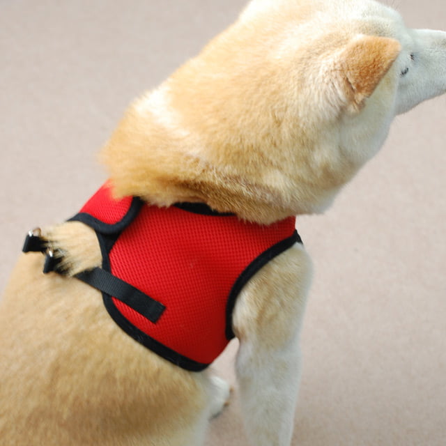 ѥϡͥ꡼ɥåȡASHUϡͥ å꡼ɥåȡL 淿