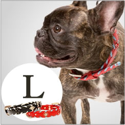 �緿���Ѽ��ء�ASHU�������ɥ롼�ץ쥶�����顼����������