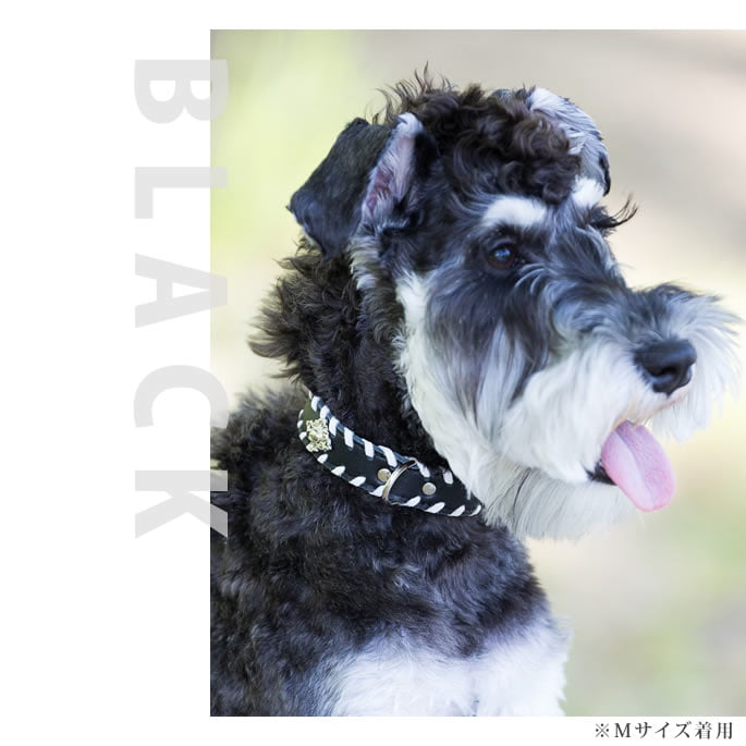 �緿���Ѽ��ء�ASHU�������ɥ롼�ץ쥶�����顼����������