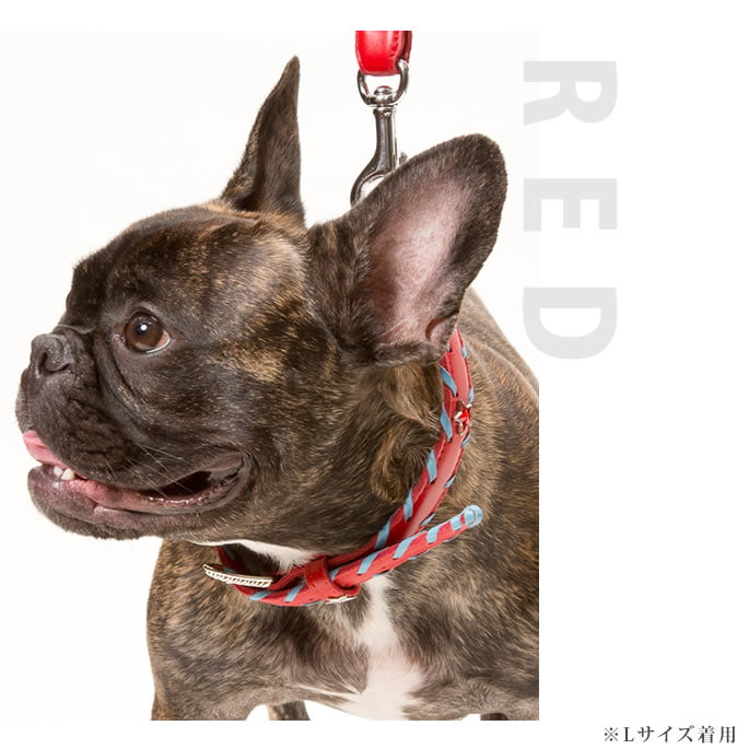 �緿���Ѽ��ء�ASHU�������ɥ롼�ץ쥶�����顼����������