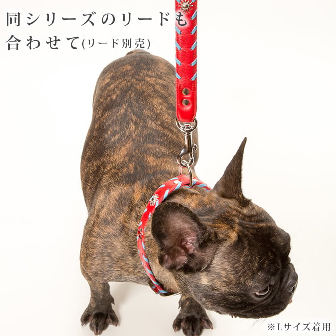 �緿���Ѽ��ء�ASHU�������ɥ롼�ץ쥶�����顼����������