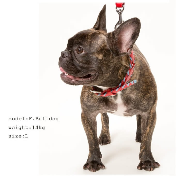 �緿���Ѽ��ء�ASHU�������ɥ롼�ץ쥶�����顼����������