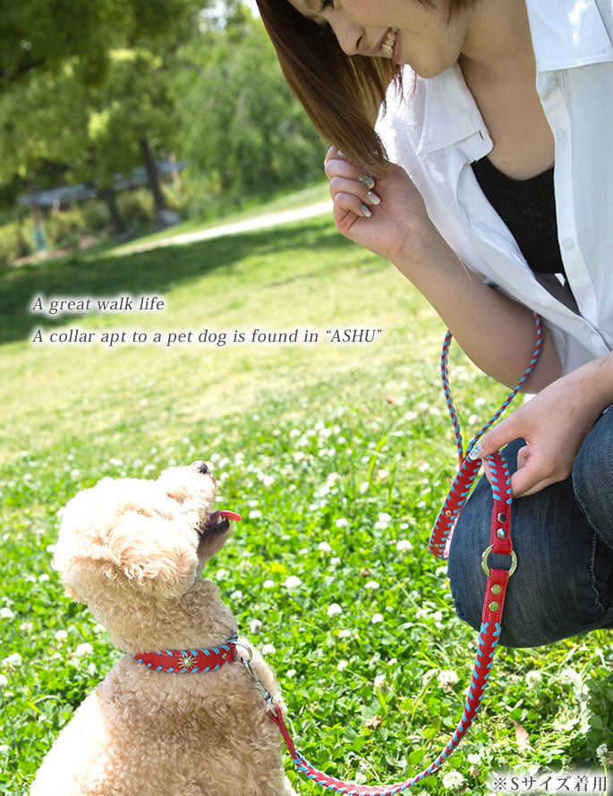 �緿���Ѽ��ء�ASHU�������ɥ롼�ץ쥶�����顼����������