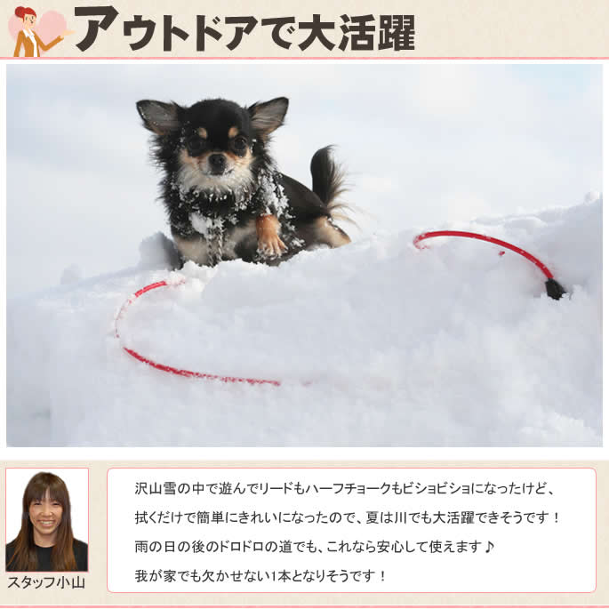 �����ɿ�꡼�ɡ�ASHU ��֥꡼�쥤��꡼�ɡ�����緿����