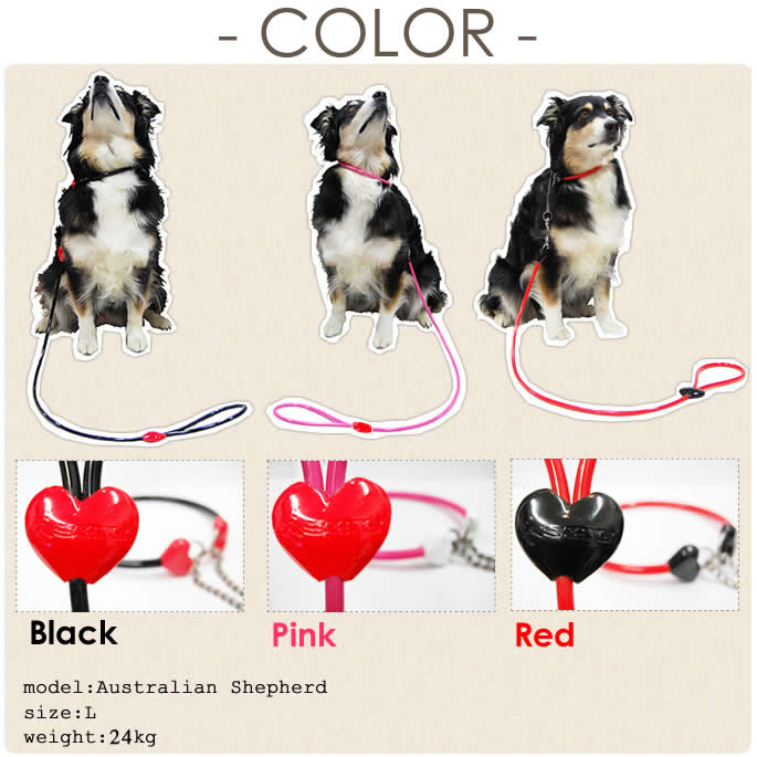 �����ɿ�꡼�ɡ�ASHU ��֥꡼�쥤��꡼�ɡ�����緿����