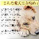 Ϸ���ѡ��ڥåȥ����ޥå�NEO��M��������|���˥������ֲ����ӥ�