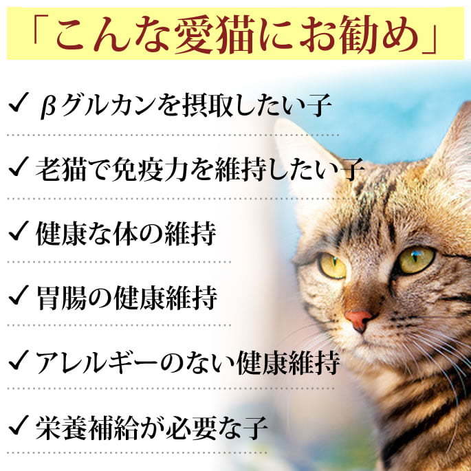 ǭ�� �򹯿��ʡ��������֤Ӥ�����������a0006��