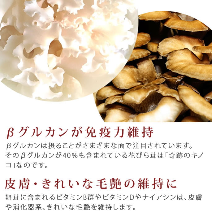 ǭ�� �򹯿��ʡ��������֤Ӥ�����������a0006��