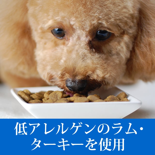 ������̵�������ޤ��աۥȥ饤�ץɥ饤���ɥå��ա��ɡ���ࡡ6.36kg�����������Ǥ��ޤ���