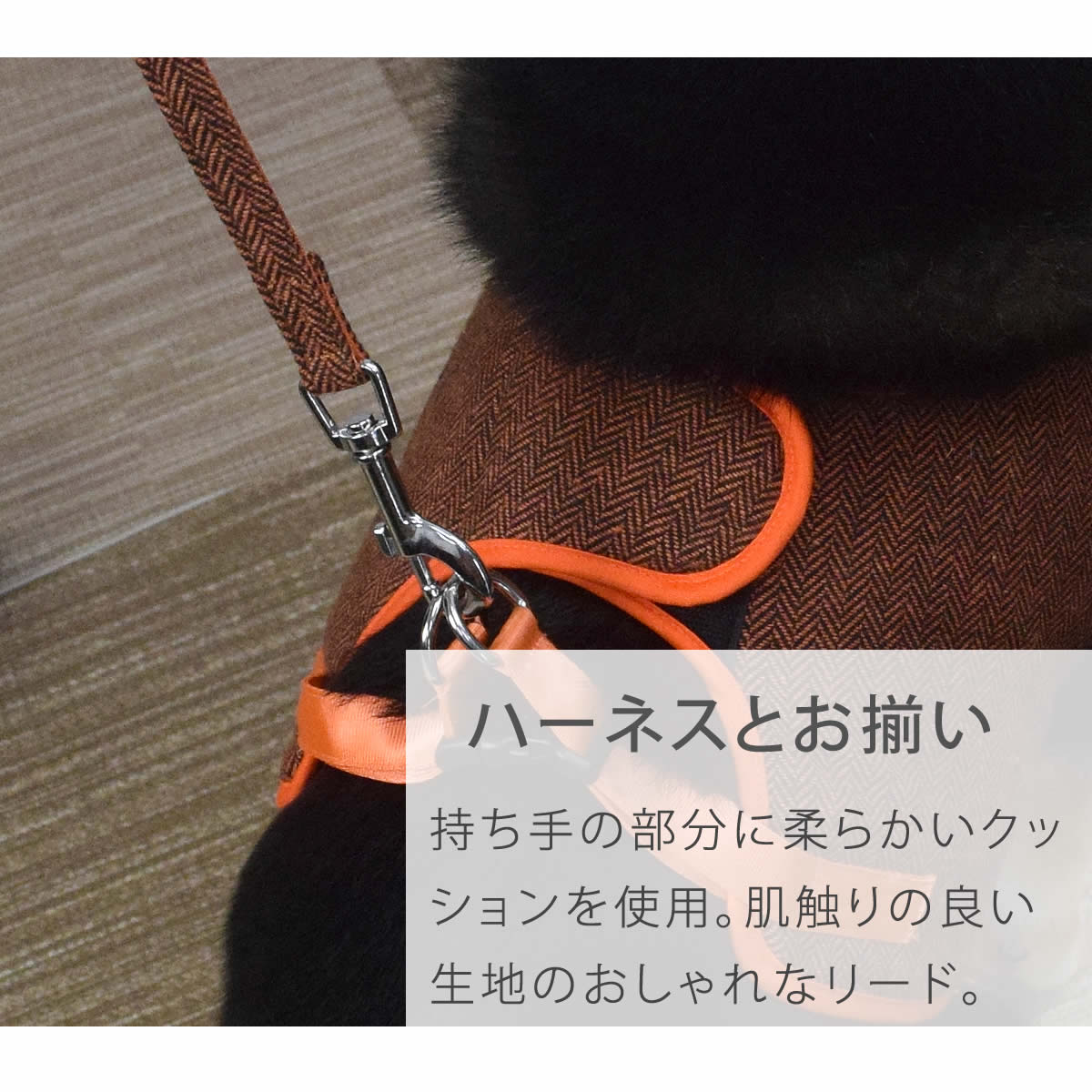 ASHUϡͥ ⡼ѥ꡼ S()ڥϡͥ