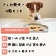 ѥåĲ衪ʴ衼ȤΤäȤꥯåء