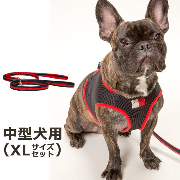 ѥϡͥ꡼ɥåȡASHUϡͥ å꡼ɥåȡXL淿