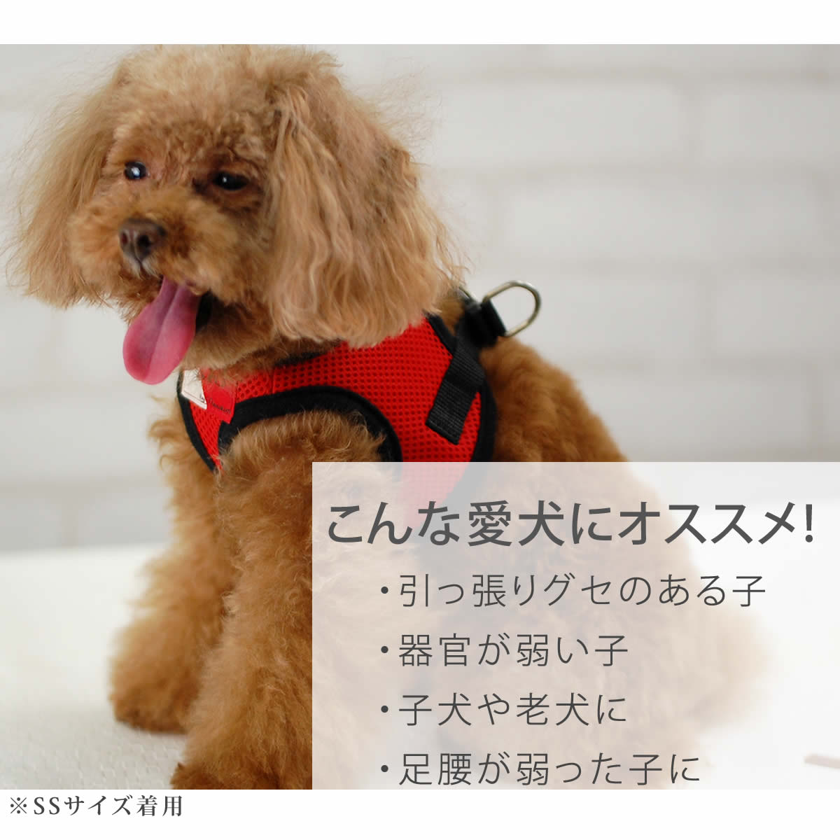 犬用ハーネス・リードセット｜ASHU ウェアハーネス＆リード