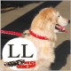 Ķ�緿���Ѽ��ء�ASHU�������ɥ롼�ץ쥶�����顼���������̣�