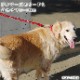 Ķ�緿���Ѽ��ء�ASHU�������ɥ롼�ץ쥶�����顼���������̣�