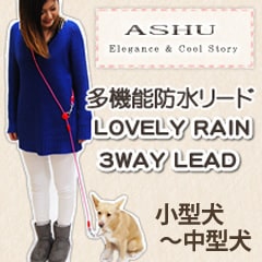 �����ɿ�꡼�ɡ�ASHU ��֥꡼�쥤��WAY�꡼�ɡ������淿����