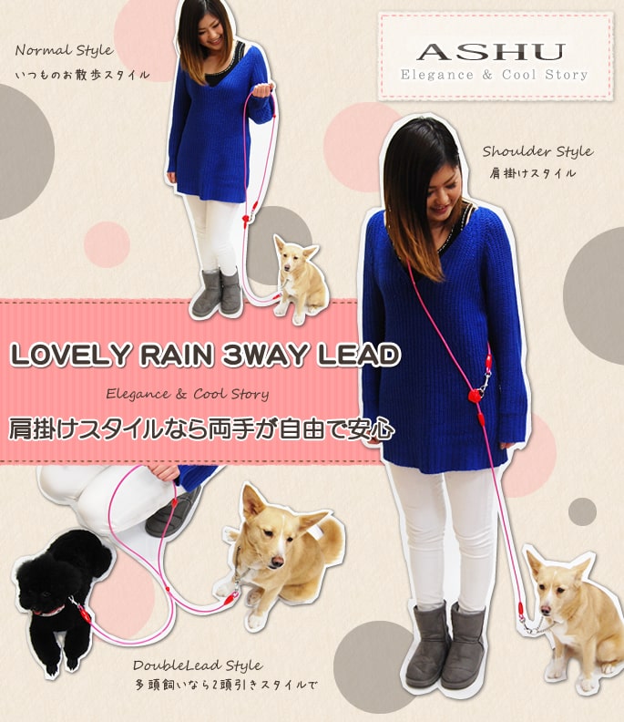 犬 ボニー君に会えなくなってから2年が経ちました【22歳ダックス｜3回忌