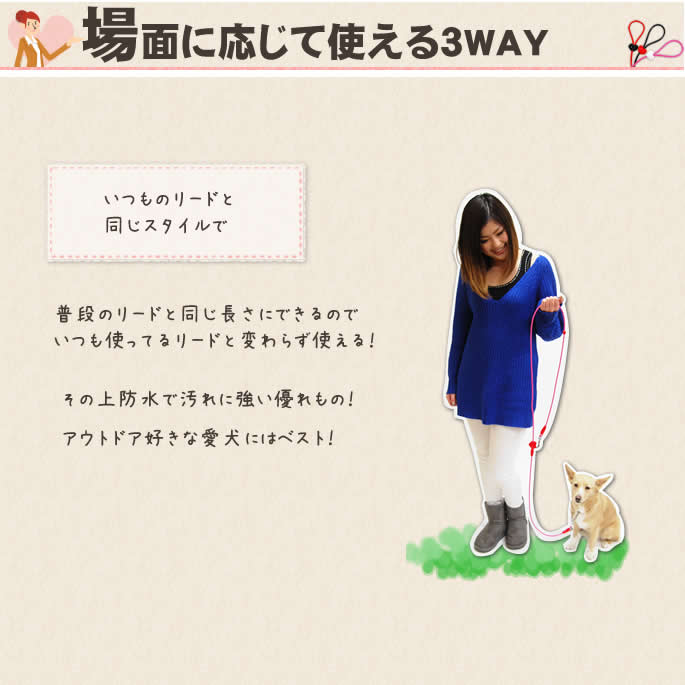 �����ɿ�꡼�ɡ�ASHU ��֥꡼�쥤��WAY�꡼�ɡ������淿����