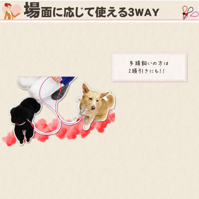 �����ɿ�꡼�ɡ�ASHU ��֥꡼�쥤��WAY�꡼�ɡ������淿����
