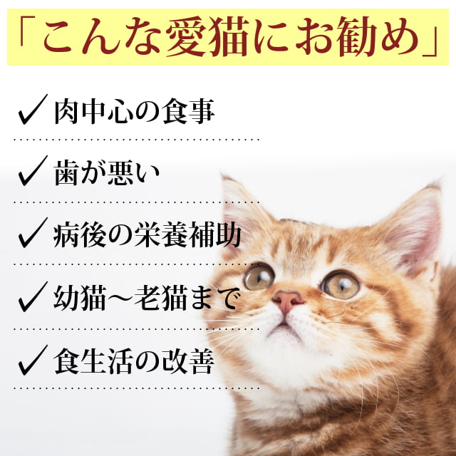 ǭ 꿩åϥȥ८ѥ̣إ륷