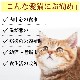 ǭ 꿩åϥȥ८ѥ̣إ륷