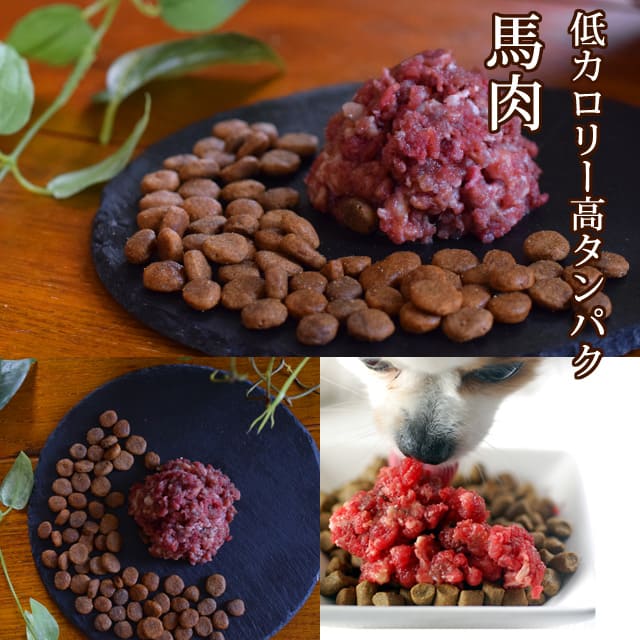 �ڤ�����������ۥ��ӥ����ץ饹�͵����������å�