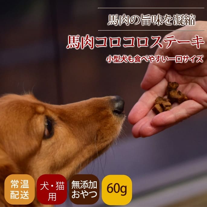 �����Ѱ�ǭ�Ѥ���ġ������������������ơ��� 60g