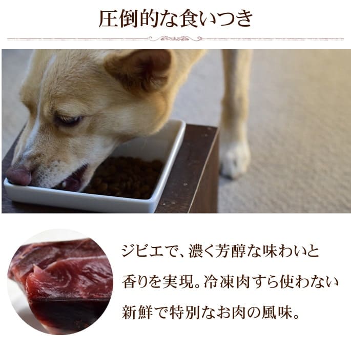 ドッグフード エンパイア スペシャルバランスドダイエット ボトル 300g