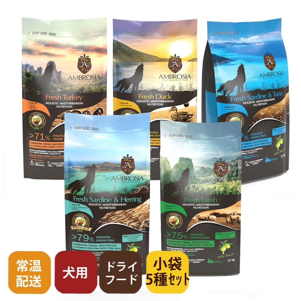 ֥ HMN 5Ḥ̂100g5糧å  ǯбѥɥ饤աɡAMBROSIA(ơ)