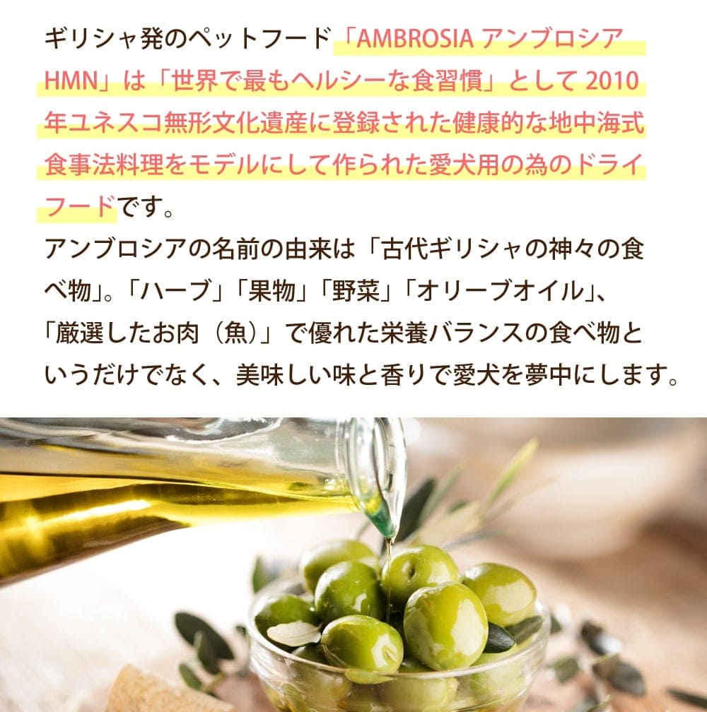 ֥ HMN 5Ḥ̂100g5糧å  ǯбѥɥ饤աɡAMBROSIA(ơ)