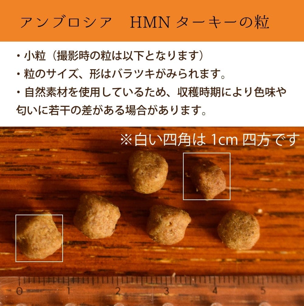 ֥ HMN 5Ḥ̂100g5糧å  ǯбѥɥ饤աɡAMBROSIA(ơ)