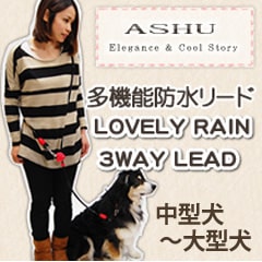 �����ɿ�꡼�ɡ�ASHU ��֥꡼�쥤��WAY�꡼�ɡ�����緿����