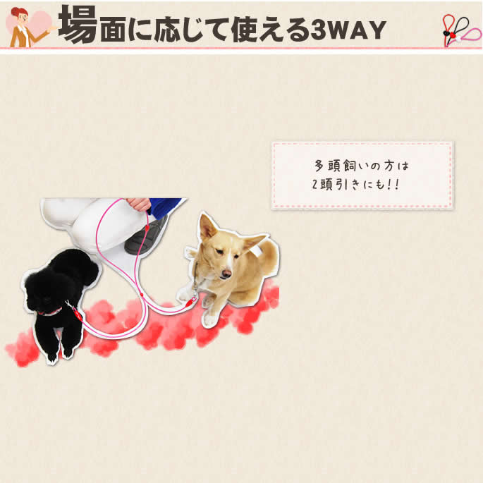 �����ɿ�꡼�ɡ�ASHU ��֥꡼�쥤��WAY�꡼�ɡ�����緿����