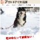 �����ɿ�꡼�ɡ�ASHU ��֥꡼�쥤��WAY�꡼�ɡ�����緿����