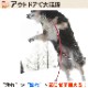 �����ɿ�꡼�ɡ�ASHU ��֥꡼�쥤��WAY�꡼�ɡ�����緿����