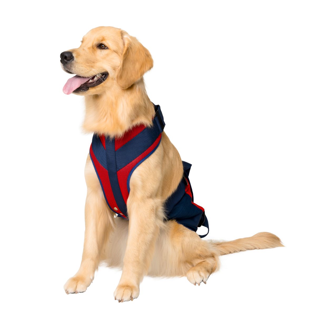 犬用歩行補助ハーネス LaLaWalk 大型犬用 スカーレットメッシュ