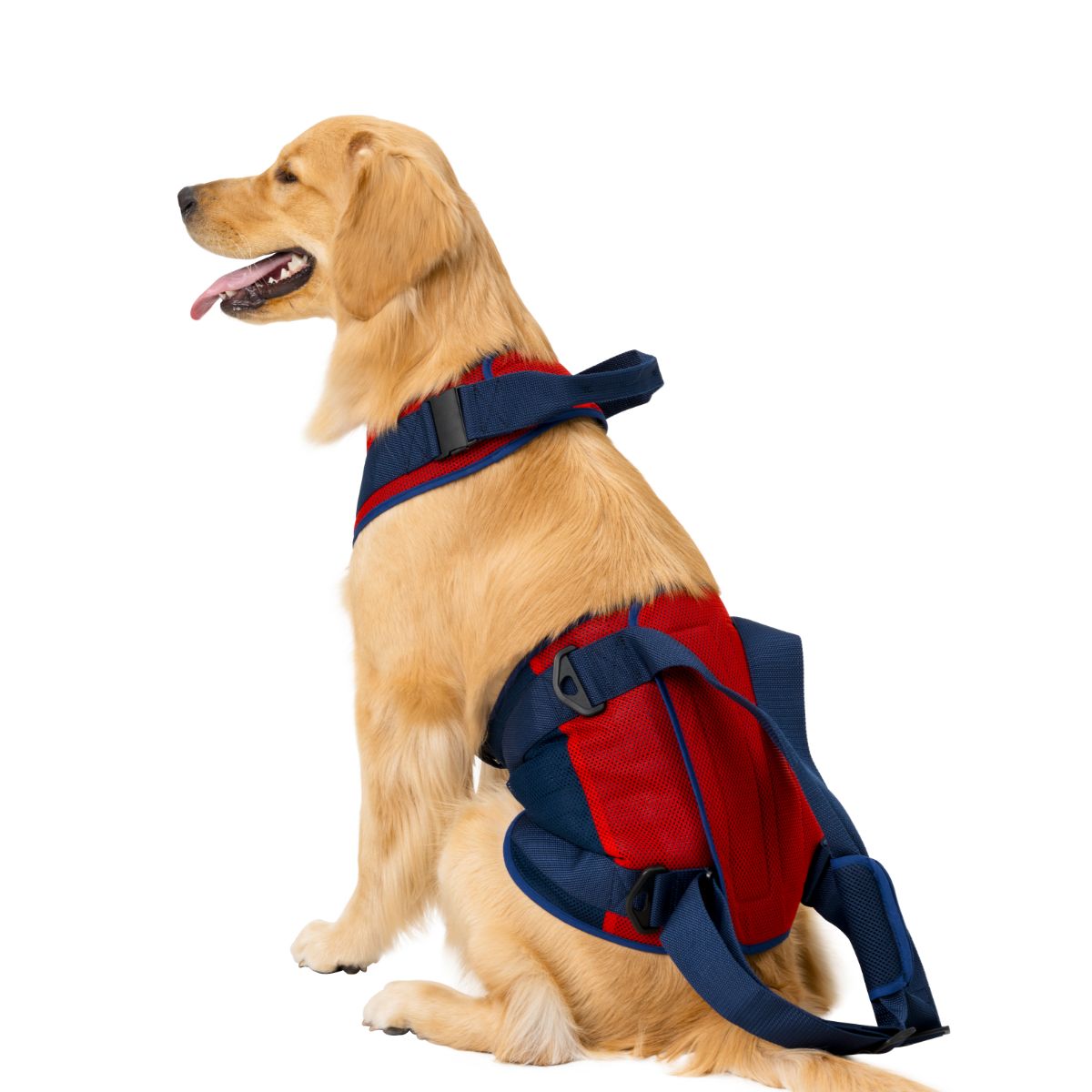 犬用歩行補助ハーネス LaLaWalk 大型犬用 スカーレットメッシュ