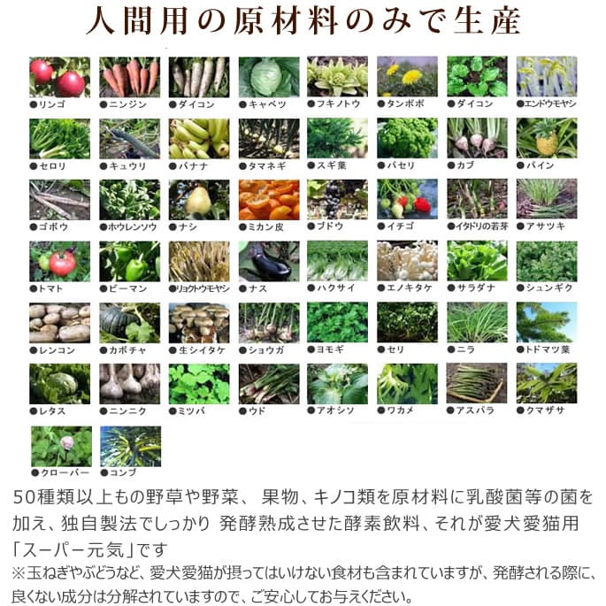 ǭ�Ѹ��� ���ǡù��ǥɥ�󥯥����ѡ���������ڤα��ܤ�Ž�(��ǭ����)����ʪ��ȯ�ڰ���