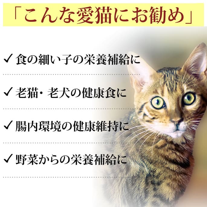 ǭ�Ѹ��� ���ǡù��ǥɥ�󥯥����ѡ���������ڤα��ܤ�Ž�(��ǭ����)����ʪ��ȯ�ڰ���