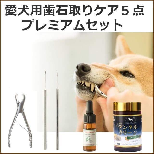 帝塚山ハウンドカム　DENTAL CARE 歯石取り用ツール 3点セット 歯石取り3点＆デンタルサプリセット｜ドッグフードの通販