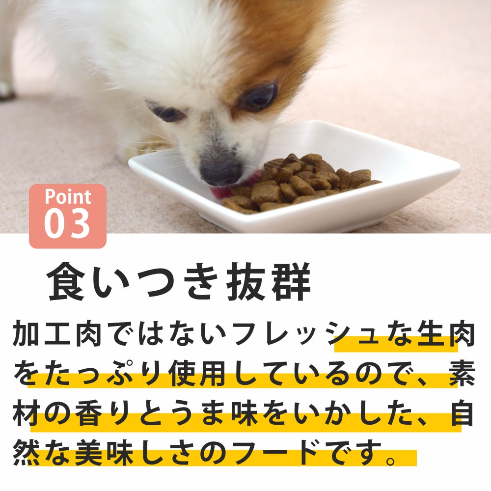 �ڽ������̵����AATU�ʥ����ȥ����˥�������  �ɥå��ա��� 1.5kg ����������