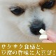 ���Ѥ���ġåե꡼���ɥ饤Ʀ�� 20g �� 5�ޥ��å� ��