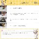 ���Ѥ���ġåե꡼���ɥ饤Ʀ�� 20g �� 5�ޥ��å� ��